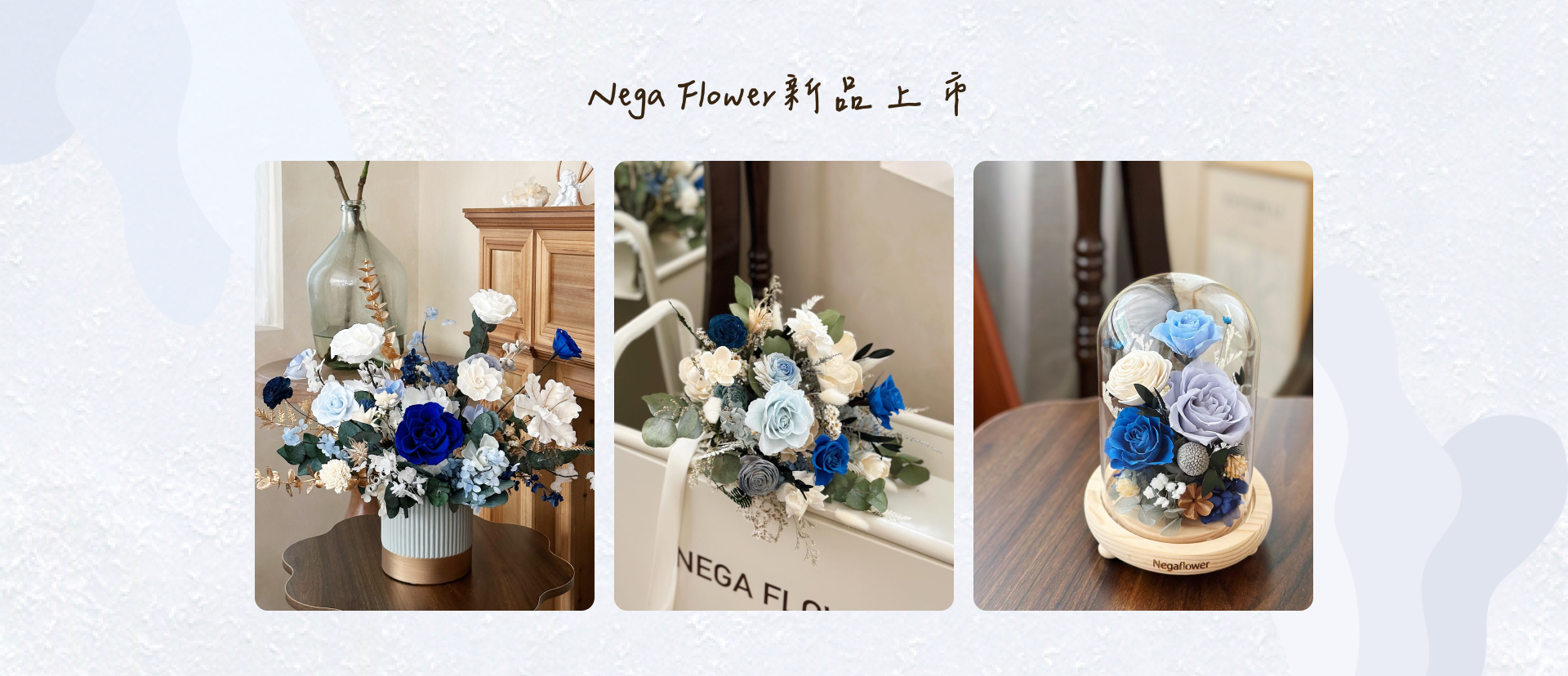 negaflower十月新品上市